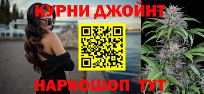 шишки Пугачёв