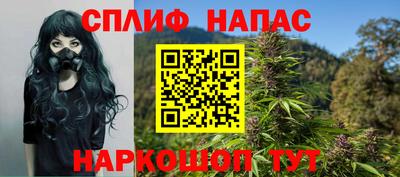 шишки Пугачёв