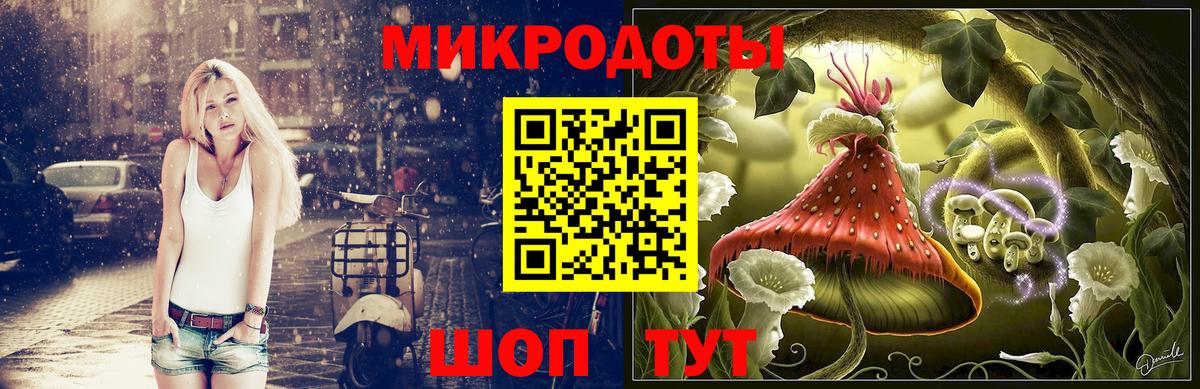 Псилоцибиновые грибы Cubensis Прохладный