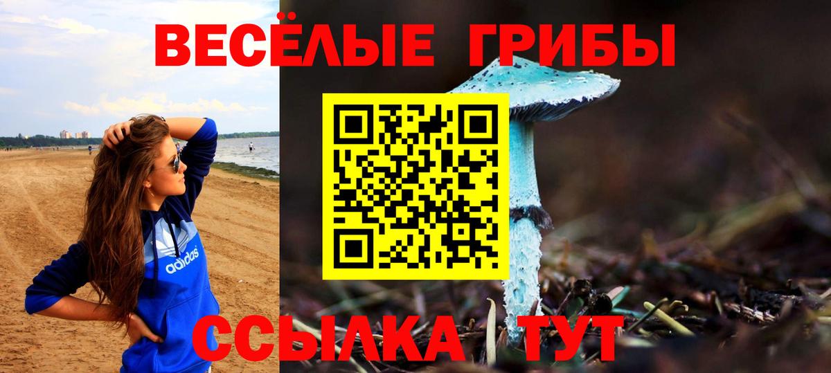 Прохладный  Галлюциногенные грибы Cubensis  Вход с VPN  продажа наркотиков  Псилоцибиновые грибы мицелий 